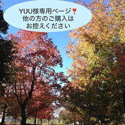 YUU様専用ページです❣️新作♪秋冬に❣️立体マスク☆ジャガード☆茶☆黒☆グレー 1枚目の画像