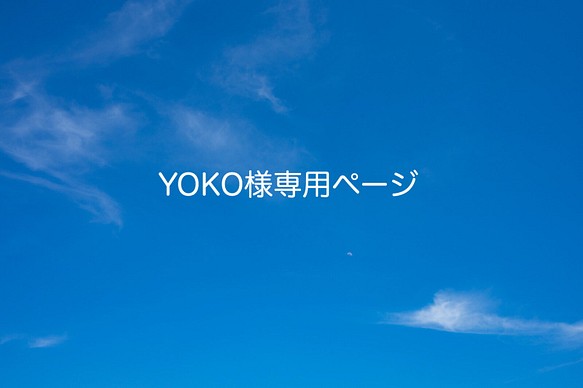 YOKO様専用ページ☆ミナペルホネン　立体マスク 1枚目の画像