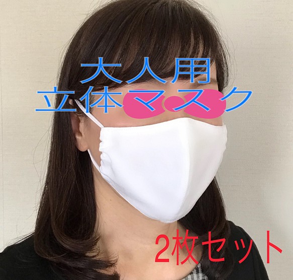 立体　白マスク　2枚セット　インナーマスク（市販品）30枚付き　《送料無料》 1枚目の画像