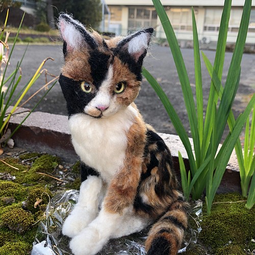 羊毛フェルト 猫 オーダーメイド 受け付け 三毛猫 日本猫 ミックス 