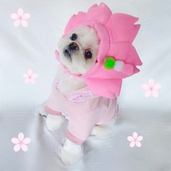 お花見被り物 わんちゃん ねこちゃんにも ペット服 アクセサリー Espoir ｴｽﾎﾟﾜｰﾙ 犬服 通販 Creema クリーマ ハンドメイド 手作り クラフト作品の販売サイト