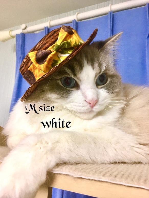 猫のカンカン帽 Mサイズwhite ペット服・アクセサリー ronronbonnet