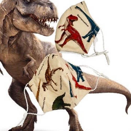 恐竜シリーズ】呼吸がしやすい立体マスク 1枚売り ティラノサウルス等