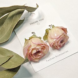 枯れないお花のアクセサリー　〜本物のお花〜バラ　ピンク　フック　ピアス　イヤリング 1枚目の画像