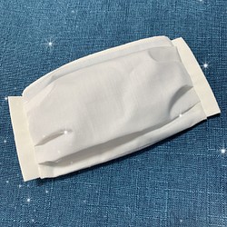 【夏マスク】アイスコットン×抗ウィルス機能性加工CLEANZE®︎マスク　Ｌサイズ　ポケット付き立体マスク 1枚目の画像