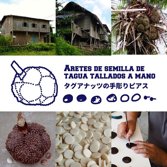 タグアナッツの手彫りピアス　抹茶　-象牙椰子、アルパカ合金-　TC01 1枚目の画像