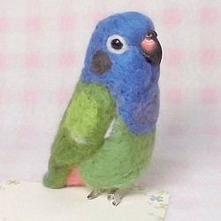 仿藍頭鸚鵡☆夾＆胸針☆羊毛氈★mini Blue-headed Parrot(Pionus)★clip & brooch 第1張的照片