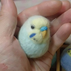 セキセイインコ パステルブル－レインボー 羊毛フェルト 小鳥マカロン