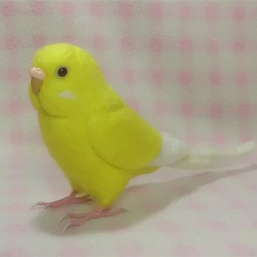 リアルサイズ セキセイインコ ルチノー 濃赤目 羊毛フェルト 羊毛フェルト 工房 小鳥屋さん 通販 Creema クリーマ ハンドメイド 手作り クラフト作品の販売サイト