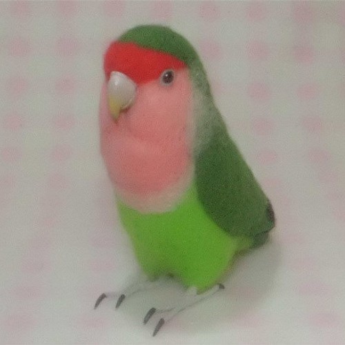 ライフサイズ♪ ムラクモインコ 羊毛フェルト 羊毛インコ 鳥好きさん