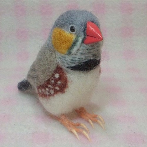 羊毛フェルト リアルサイズ キンカチョウ 錦花鳥 錦華鳥 Zebra Finch 羊毛フェルト 工房 小鳥屋さん 通販 Creema クリーマ ハンドメイド 手作り クラフト作品の販売サイト