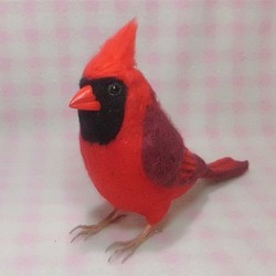 リアルサイズ♪ 猩々紅冠鳥（ショウジョウコウカンチョウ）Northern Cardinal 鳥  羊毛フェルト　受注作成 1枚目の画像