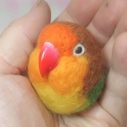 ルリコシボタンインコ ☆マグネット/ブローチ どちらか選択 受注作成