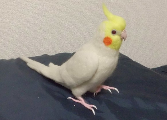 羊毛フィギュア 1/1サイズ♪ オカメインコ ルチノー☆どこに行こうか