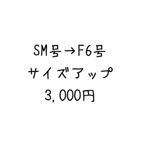 サンクスボード　SM号→F6号グレードアップ 1枚目の画像