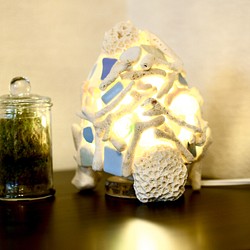 サンゴランプ　（珊瑚ランプ）③ 1枚目の画像