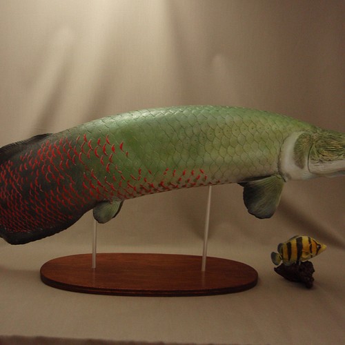 ８２ｃｍ ピラルク 魚フィギュア 立体 オブジェ Fish Craft Real 通販 Creema クリーマ ハンドメイド 手作り クラフト作品の販売サイト