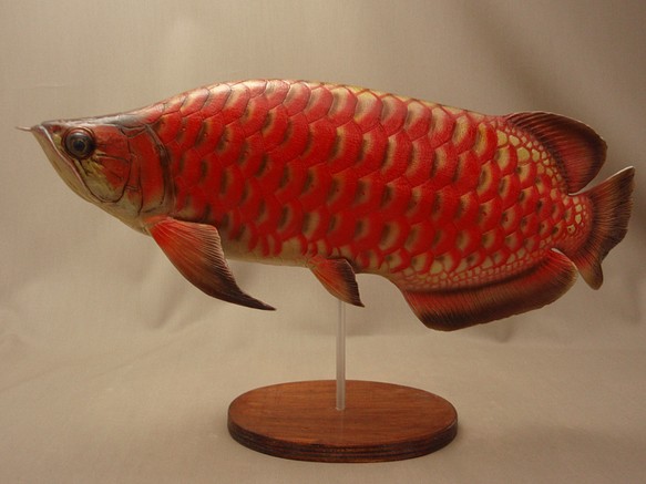 アロワナ フィギュア 魚 置物 立体・オブジェ fish craft REAL 通販