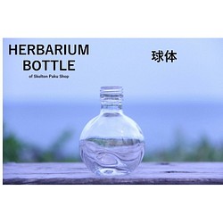 [免運費] 帶蓋案例出售 48 瓶植物標本瓶 瓶子 [球體] 玻璃瓶 透明瓶帶蓋 花材 第1張的照片