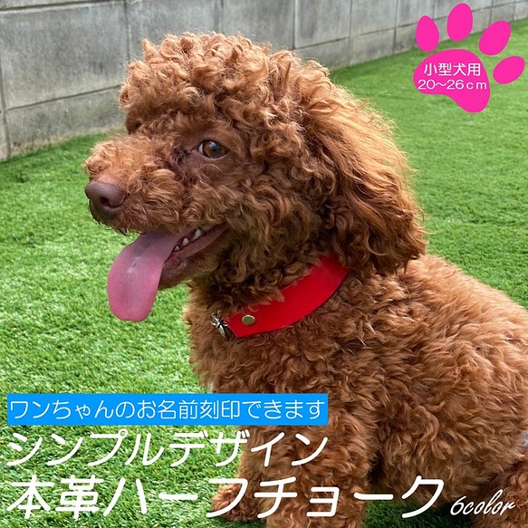 名入れ可 小型犬 ハーフチョーク シンプルデザイン 首輪 レザーハーフチョーク レザー 本革 ヌメ革 しつけ リード 首輪 Pegs 犬おやつと革首輪工房 通販 Creema クリーマ ハンドメイド 手作り クラフト作品の販売サイト