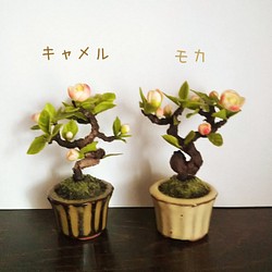 桃太郎木瓜 キャメル鉢  創作盆栽 粘土アート 1枚目の画像