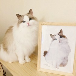 うちの子 肖像画 │犬 猫 ペット 水彩画 似顔絵 1枚目の画像