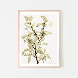 グミ / アートポスター イラスト ミニマル 植物 グリーン アートプリント 2L〜 1枚目の画像