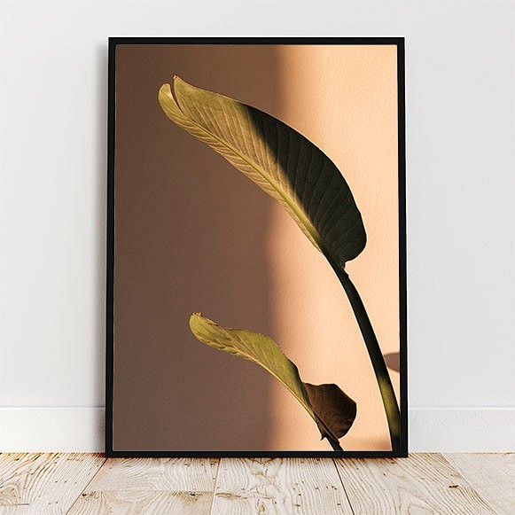 オーガスタの葉と影 / アートポスター 写真 ミニマル ベージュトーン 植物 カラー 白黒 縦長 1枚目の画像