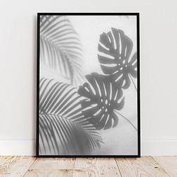 ヤシとモンステラの葉のシャドウ / モノトーン調 ポスター 写真 ミニマル 植物 パーム 影 1枚目の画像