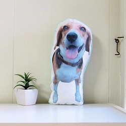 犬　猫　ペット　クッション　ぬいぐるみ　インテリア　メモリアル　プレゼント　オーダーメイド　画像　写真　名前　フワ犬Bc 1枚目の画像
