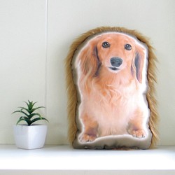 犬　猫　ペット　ダックス　クッション　ぬいぐるみ　メモリアル　プレゼント　オーダーメイド　画像　写真　名前　フサフサc 1枚目の画像