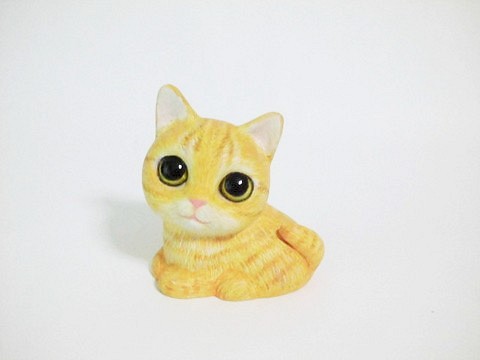 坐在香盒裡的棉花糖小貓（棕虎） 第1張的照片