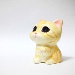 棉花糖小貓（棕色虎2） 第1張的照片