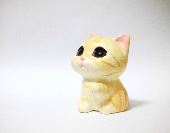 棉花糖小貓（棕色虎2） 第1張的照片