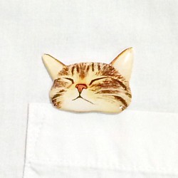 睡覺的Kijitora貓胸針從你的口袋裡偷看 第1張的照片