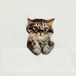 從口袋偷看偷看一隻貓的胸針 第1張的照片