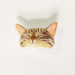 睡覺的Kijitora貓胸針從口袋裡偷看 第1張的照片