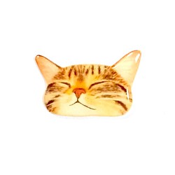 一隻從口袋裡偷看的睡覺的Kijitora貓的胸針D 第1張的照片