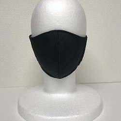 立体マスク　黒 1枚目の画像