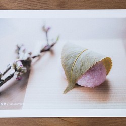 和菓子のポストカード（春）3枚セット 1枚目の画像