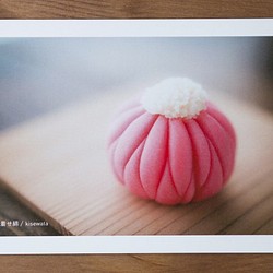 和菓子のポストカード（秋）3枚セット 1枚目の画像
