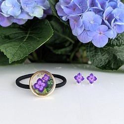 給初夏上色的繡球花（紫色）一套清涼的髮帶和小耳環（穿孔耳環）【特輯】 第1張的照片