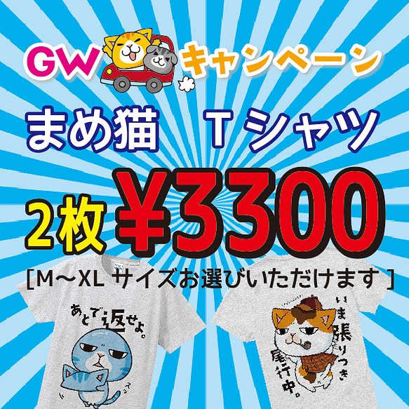 GWキャンペーン　Tシャツ２枚で3300円 1枚目の画像