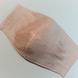 立体マスク Ⓒ【インドシルク(powder-pink)】フィルターポケット付き 1枚目の画像