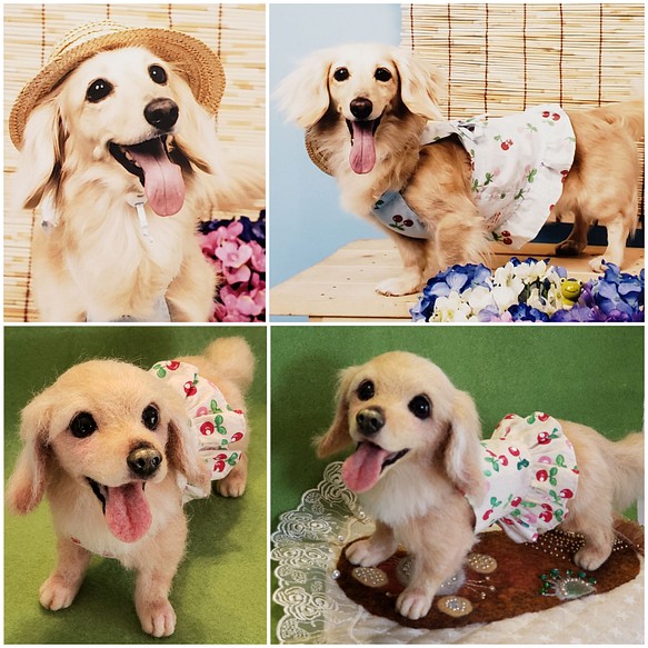 羊毛フェルト犬 オーダー羊毛ペット メモリアル ペットロス 受注犬 リアル犬 チワワ ミニチュアダックス