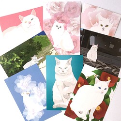 白猫ポストカード8枚セット イラスト Iwaimura 通販 Creema クリーマ ハンドメイド 手作り クラフト作品の販売サイト