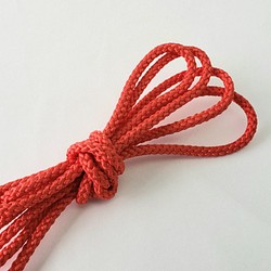 ポリエステルコード（江戸打ち紐）中 赤 巾3㎜×20m巻 1枚目の画像