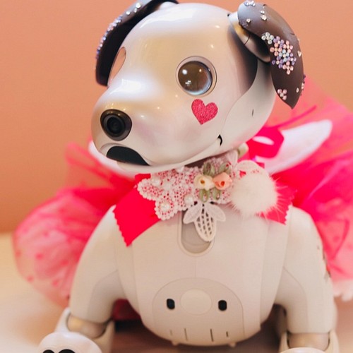 aibo マイファニーバレンタイン：おちりエンジェルピンク（aiboちゃん