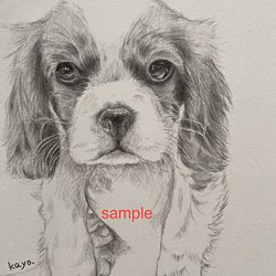 オーダーメイド　鉛筆画　似顔絵　ハガキサイズ　ペット　犬　猫 1枚目の画像