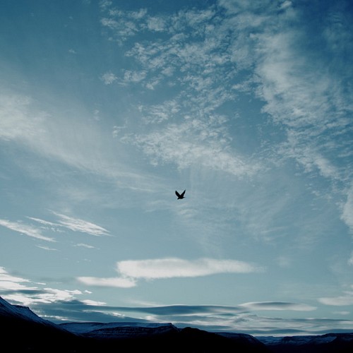 風景写真 アイスランドの大空を飛ぶ鳥 自然 雲 青空 鳥 写真 グラフィック Natural Neutral 通販 Creema クリーマ ハンドメイド 手作り クラフト作品の販売サイト